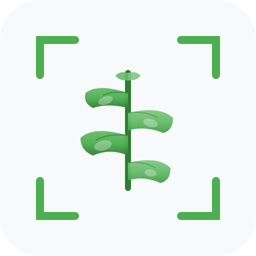 Free Plant Identifier - Identify Plants, Flowers & Trees by Picture Online